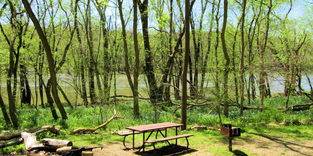 North-Mountain-Campsite-MJ-Clingan-Photography
