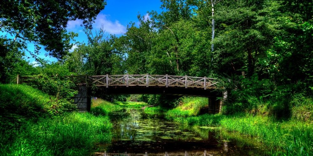 South of Old Anglers- Christopher Berry