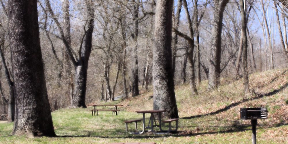 Spring-Gap-Picnic-Tables-1-by-Brett-Robinson