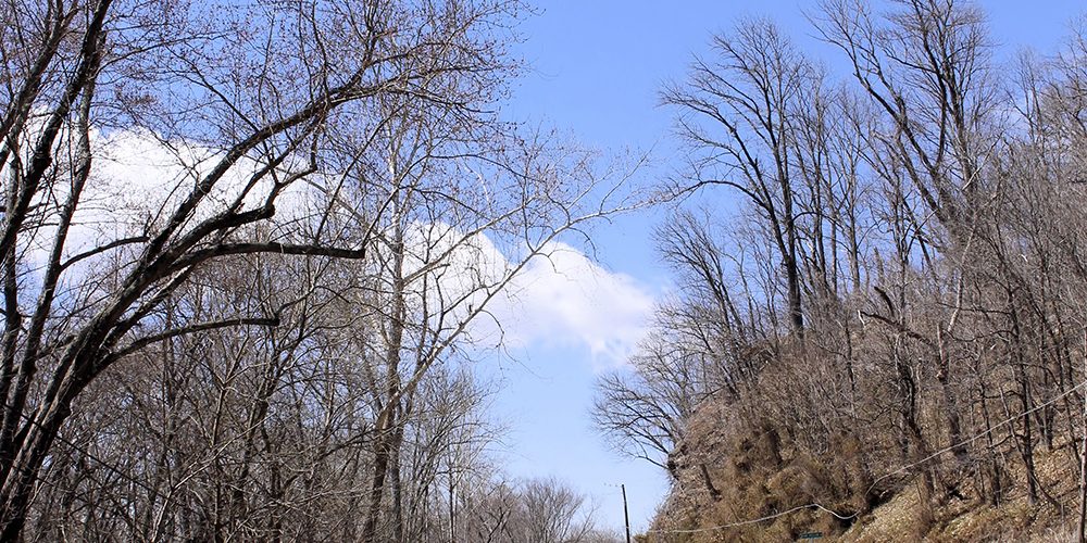 Spring-Gap-Recreational-Area-2-by-Brett-Robinson