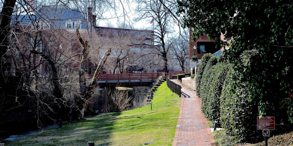 Start-of-towpath-path-Carole-Lewis-Anderson1