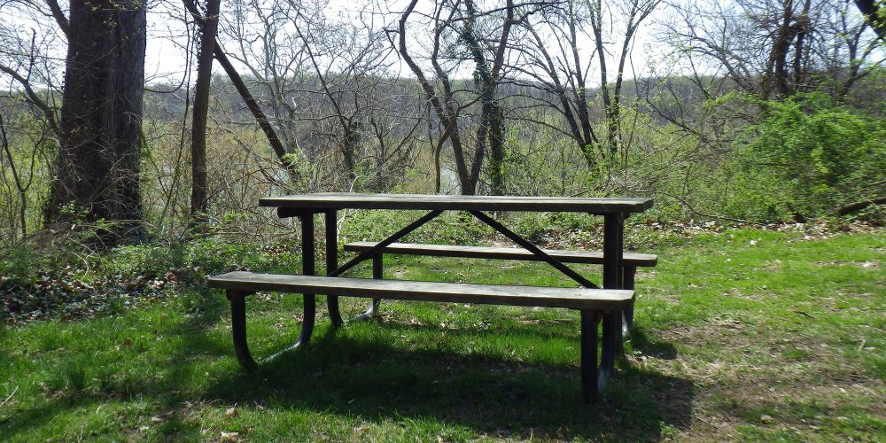 Sycamore Island picnic table