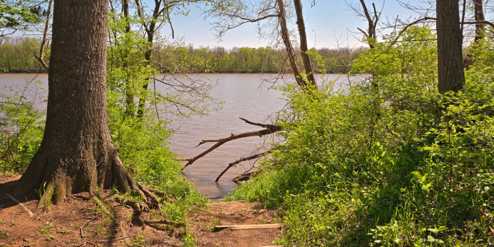 Sycamore-Landing-boat-ramp-Nicholas-Raymond